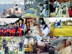 9 nhóm giải pháp chủ yếu thực hiện Kế hoạch phát triển KT- XH 2013