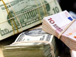 HDO, S99-mẹ: Báo lỗ quý IV/2012