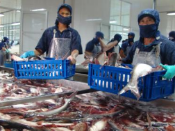 CLP: Báo lỗ cả năm 2012