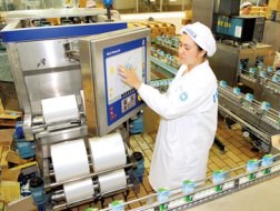 Tái cơ cấu doanh nghiệp nhà nước - “Tái mà chưa chín”