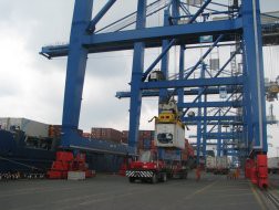 Kiến nghị không bấm seal hàng hóa chuyển từ cảng Cát Lái về cảng Tân Cảng