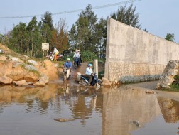 Dự án tỉ đô thành nơi&hellip; thả bò