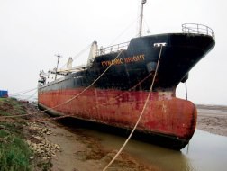 Tàu biển: Đến ve chai cũng lắc đầu