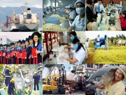 Tư duy ngược về doanh nghiệp Nhà nước