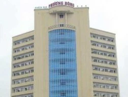 DPC lên kế hoạch chỉ cổ tức năm 2013 là 0%