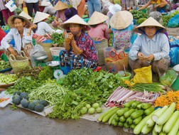 VCBS dự báo GDP quý II tăng trưởng 5,2%