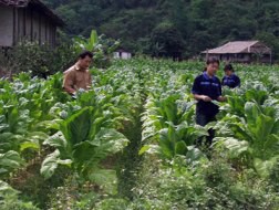 NST thông qua kế hoạch đạt 20 tỷ đồng LNTT năm 2013