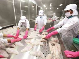 FTA và cuộc rượt đuổi của xuất khẩu - nhập siêu