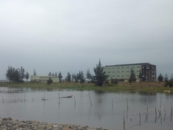 Khi doanh nghiệp gục ngã