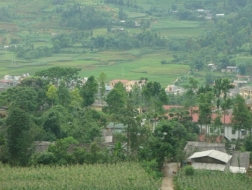 Chính phủ đưa ra nhiều phương án với mục tiêu bảo vệ diện tích đất lúa và đất rừng phòng hộ. Ảnh minh họa: Lê Nhung