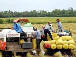 Nông nghiệp: &ldquo;Trụ cột&rdquo; bị lãng quên