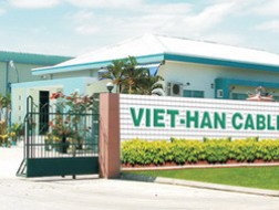 VHG (mẹ) lỗ 9,6 tỷ đồng quý 1