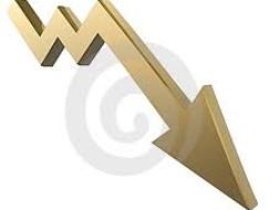 DID, TST (mẹ) lỗ quý I/2013