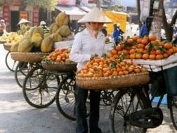 Nửa số người thất nghiệp ở Việt Nam là thanh niên