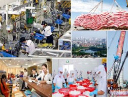 Tái cơ cấu nền kinh tế: Kết quả bước đầu 