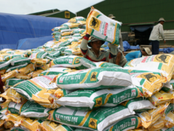 Phân bón là một trong những mặt hàng thị trường Myanmar đang rất cần