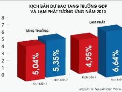 Kinh tế Việt Nam 2013: Lo sợ hiệu ứng&hellip; "phởn phơ"!