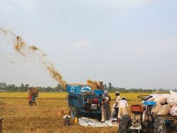 Khi trụ đỡ nông nghiệp bị lung lay