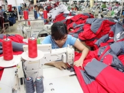 "Giảm thuế suất phổ thông như lộ trình là phù hợp"