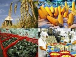 6 tháng: Tốc độ tăng GDP nông, lâm, thủy sản đạt 2,14%