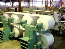 Đầu tư ngành giấy: Không thể đủng đỉnh