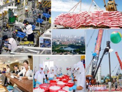Kinh tế Việt Nam lớn thứ 42 thế giới 