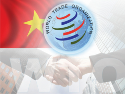 Hậu WTO: Muốn thành &ldquo;người lớn&rdquo; không thể bất cẩn
