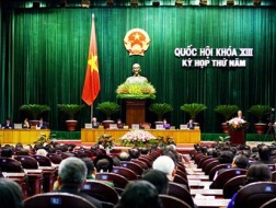 Đông nhất từ trước đến nay với gần 40 người, doanh nhân trong vai nghị sỹ xuất hiện ở nhiệm kỳ Quốc hội khóa XIII, ban đầu được đánh giá như một luồng gió mới ở nghị trường.