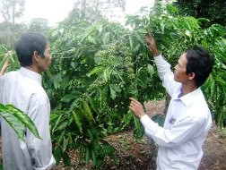 Thu hồi thủy điện, dân mừng!