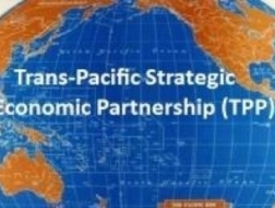 TS Alan Phan: Kỳ vọng và thận trọng