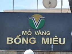 Besra Gold Inc. là một tập đoàn niêm yết đại chúng, chuyên về hoạt động khai thác, thăm dò và chế biến vàng cũng như các kim loại quý khác. Hoạt động chính của tập đoàn này là ở Việt Nam, thông qua việc nắm giữ 85% vốn điều lệ của PSGC và 80% vốn điều lệ của BMGMC.