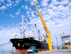 Tăng mặt hàng xuất khẩu để giảm nhập siêu