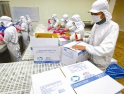 Thương mại Việt – Úc dưới con mắt CEO ngân hàng ngoại