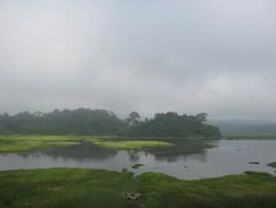 Việc loại bỏ 2 thủy điện Đồng Nai 6, 6A đã cứu Ramsar Bàu Sấu trong Vườn Quốc gia Cát Tiên khỏi bị ảnh hưởng trầm trọng hoặc có thể biến mất 