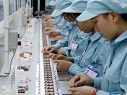 Tỉ lệ nội địa của Việt Nam chỉ bằng một nửa Thái Lan