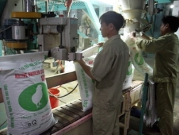 Các KCN Đồng Nai sẽ tuyển thêm 20.000 lao động