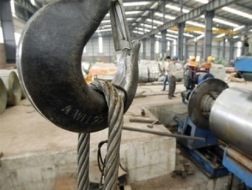 Doanh nghiệp đăng ký mới đang tăng trưởng mạnh