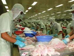 “Đại dịch” trốn đóng BHXH: Trốn từ đồng bằng đến miền núi