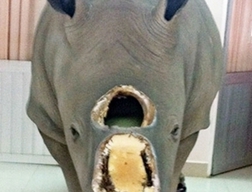 Thói quen người Việt lại bị bêu riếu trên báo nước ngoài