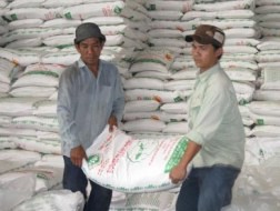 Đường nội tồn kho vì đường nhập lậu