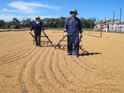 Hơn 500 tỷ đồng thuế VAT &ldquo;bốc hơi&rdquo; 