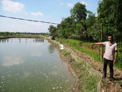 Người nuôi tôm bị Bảo Minh &ldquo;lật kèo&rdquo;