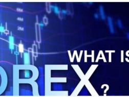 Trắng tay vì kiến tiền qua &ldquo;FOREX&rdquo; trên mạng ảo
