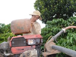 Giá xăng dầu liên tục tăng ảnh hưởng đến đời sống của người trồng cà phê tại tỉnh Đắk Lắk. 