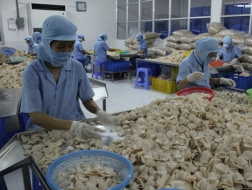Sản xuất bánh phồng tôm tại Công ty Sa Giang (Đồng Tháp)