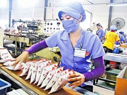 Dây chuyền sản xuất mì Miliket. 
