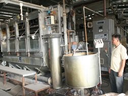 Vì sao họ phạm luật?