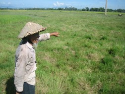 Nỗi buồn nông dân trả ruộng