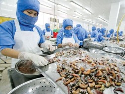 Tăng lương tối thiểu, lao động và doanh nghiệp đều lo