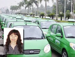 Nữ TGĐ Mai Linh Group từ nhiệm sau 8 ngày điều hành